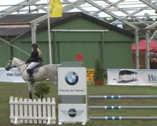Nord-Ost-Pferd 2015