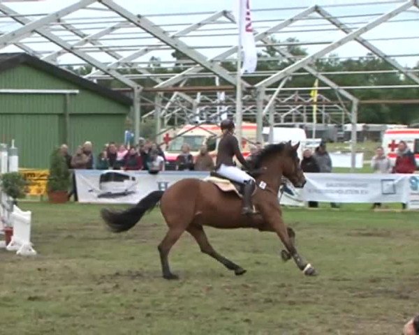 Nord-Ost-Pferd 2015