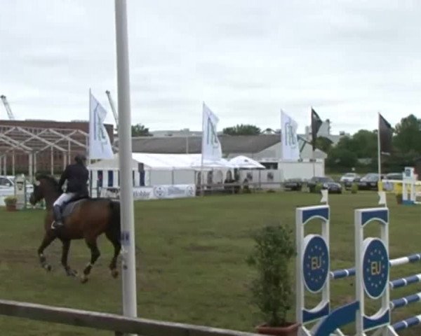 Nord-Ost-Pferd 2015