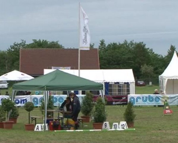 Nord-Ost-Pferd 2015