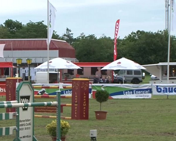 Nord-Ost-Pferd 2015