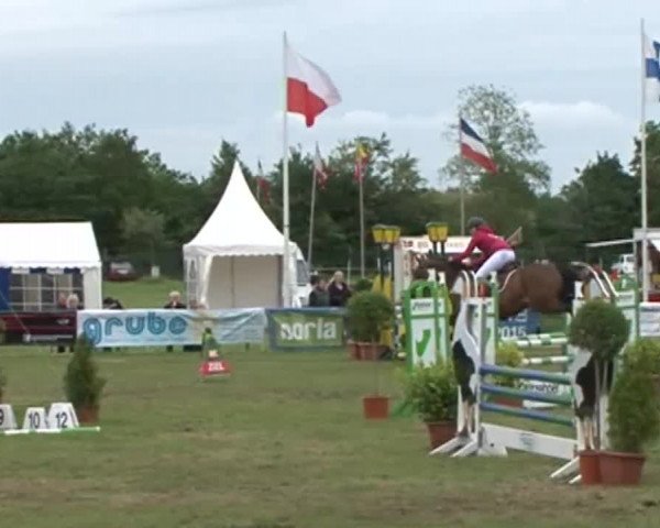 Nord-Ost-Pferd 2015