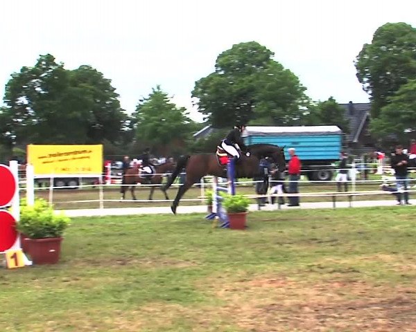 Nord-Ost-Pferd 2015