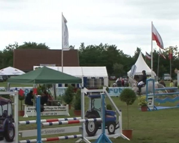 Nord-Ost-Pferd 2015