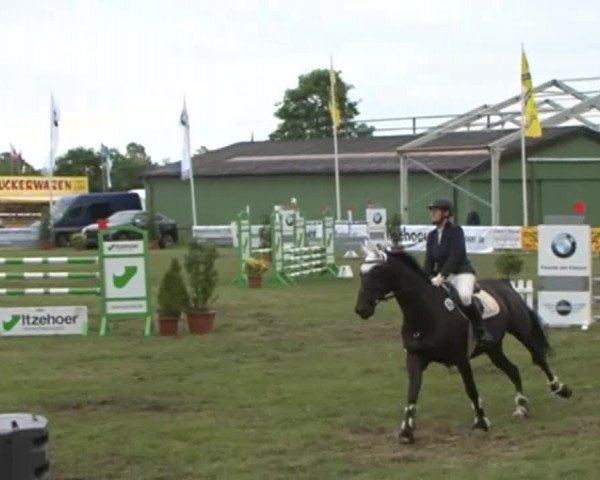 Nord-Ost-Pferd 2015