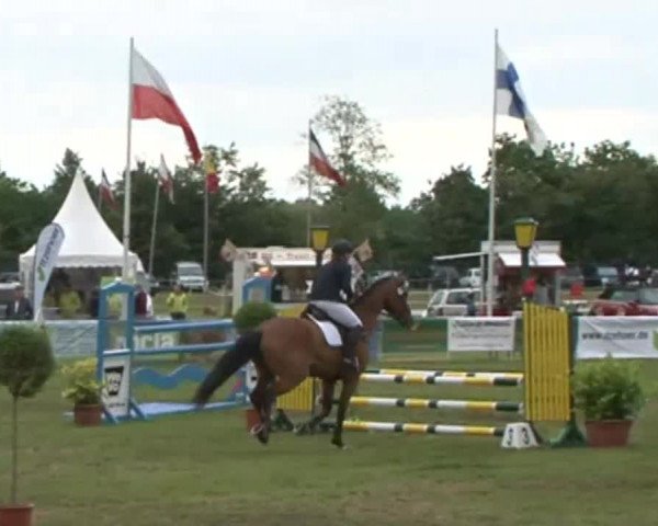 Nord-Ost-Pferd 2015