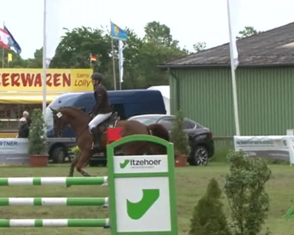 Nord-Ost-Pferd 2015