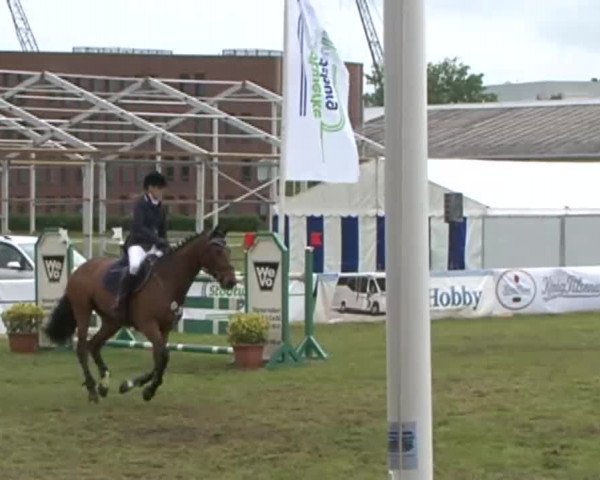 Nord-Ost-Pferd 2015