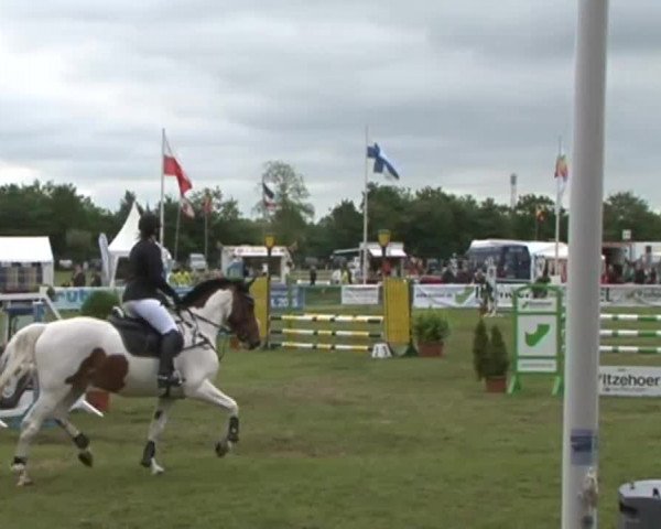Nord-Ost-Pferd 2015