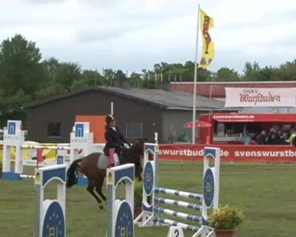 Nord-Ost-Pferd 2015