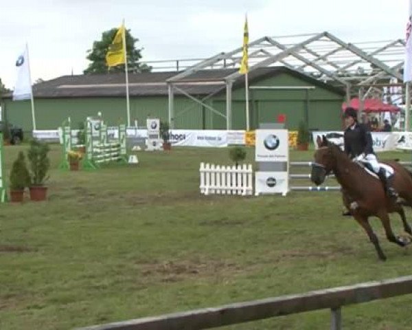 Nord-Ost-Pferd 2015