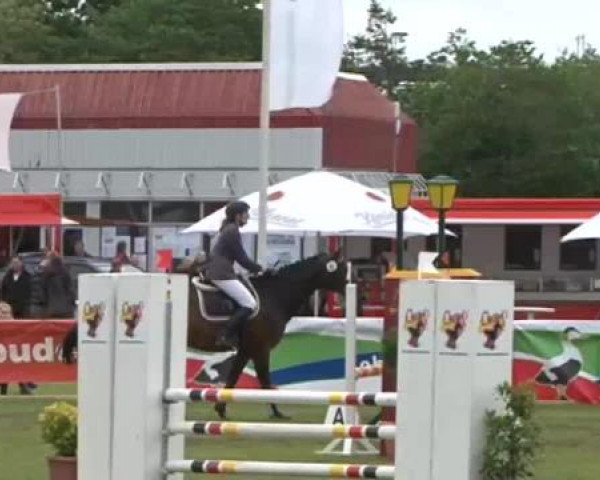 Nord-Ost-Pferd 2015