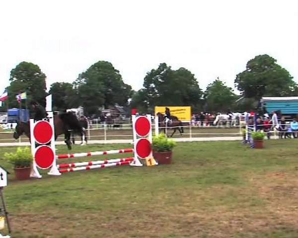 Nord-Ost-Pferd 2015