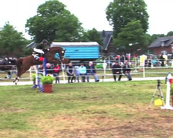 Nord-Ost-Pferd 2015