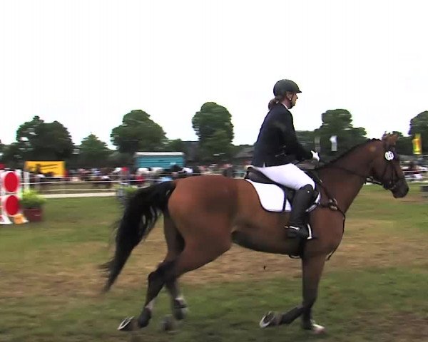 Nord-Ost-Pferd 2015