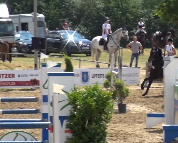Heinsberger Jugendturnier 2015