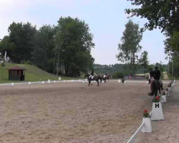 Düsseldorfer Reitertage 2015