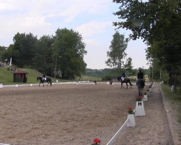 Düsseldorfer Reitertage 2015