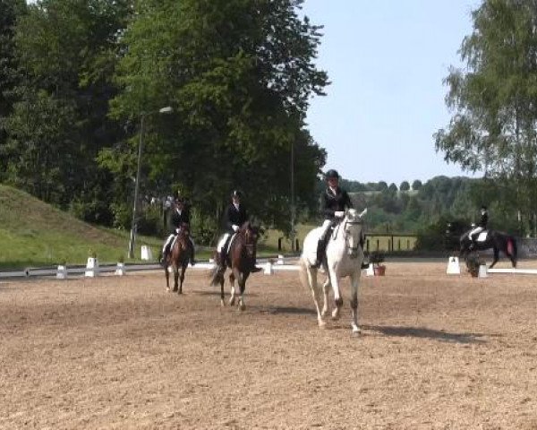 Düsseldorfer Reitertage 2015