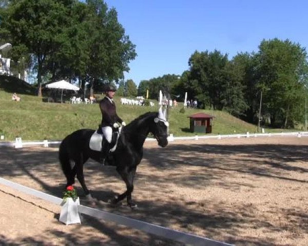 Reitturnier Willich-Anrath-Neersen 2015
