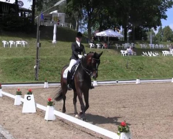 Düsseldorfer Reitertage 2015