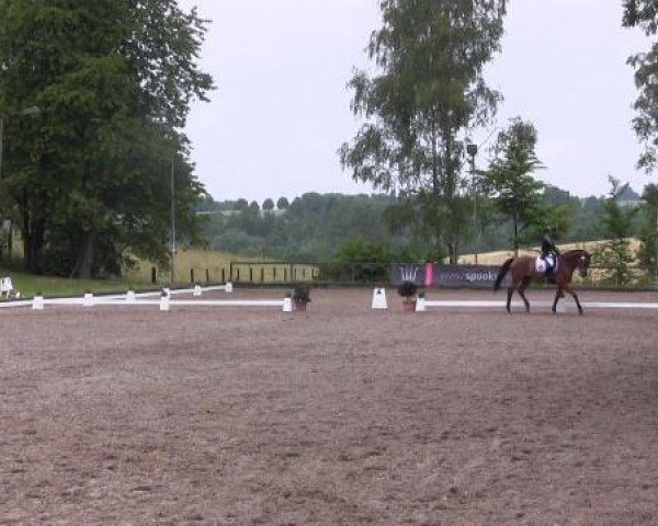 Düsseldorfer Reitertage 2015