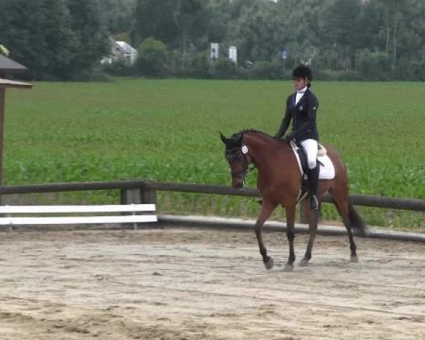 Ponyturnier Billerbeck 2015