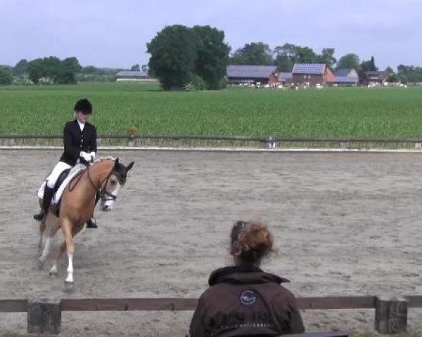 Ponyturnier Billerbeck 2015