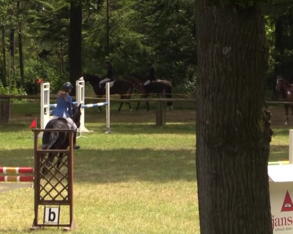 Ponyturnier Billerbeck 2015