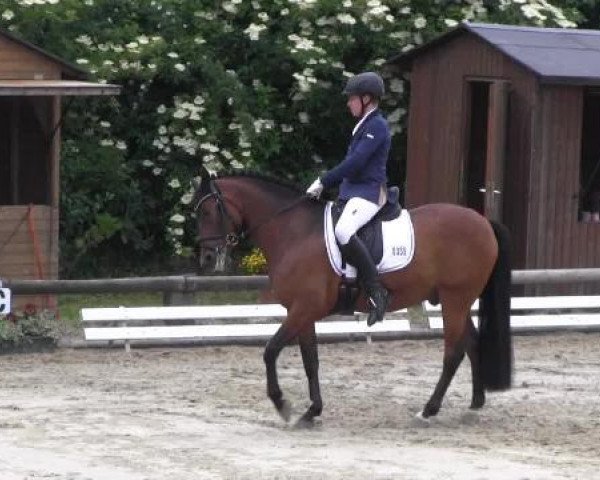 Ponyturnier Billerbeck 2015