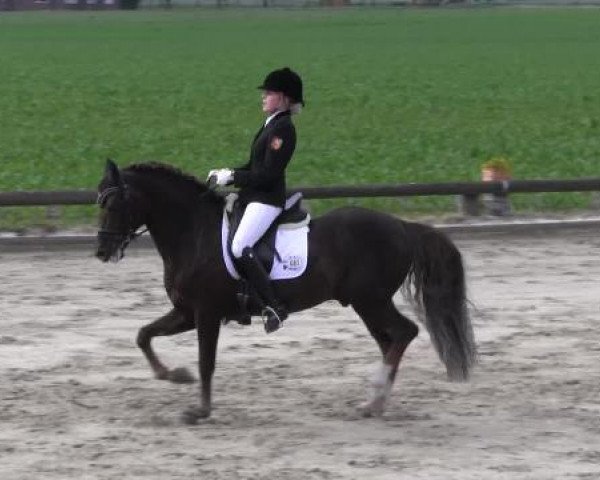 Ponyturnier Billerbeck 2015
