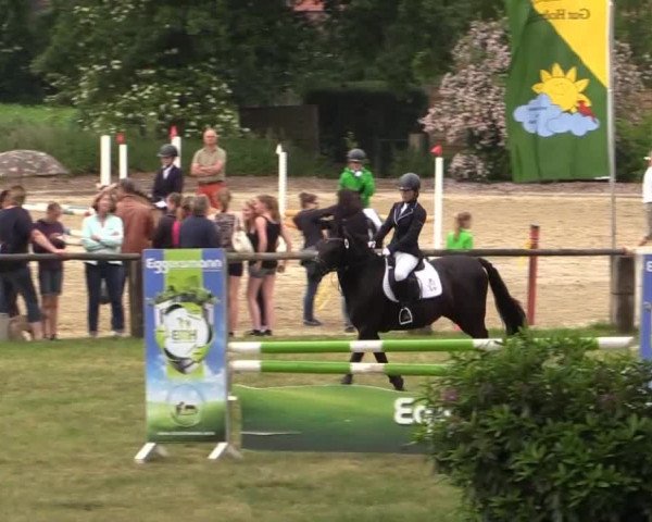 Ponyturnier Billerbeck 2015