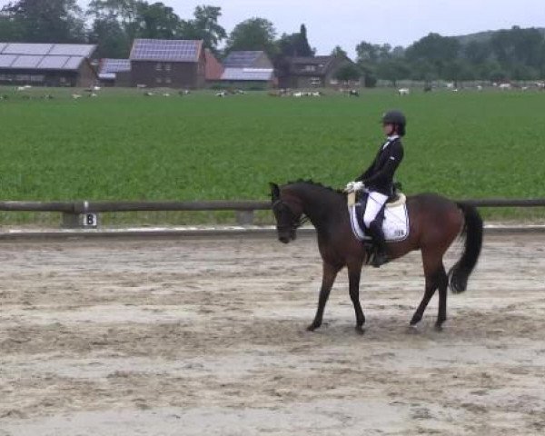 Ponyturnier Billerbeck 2015