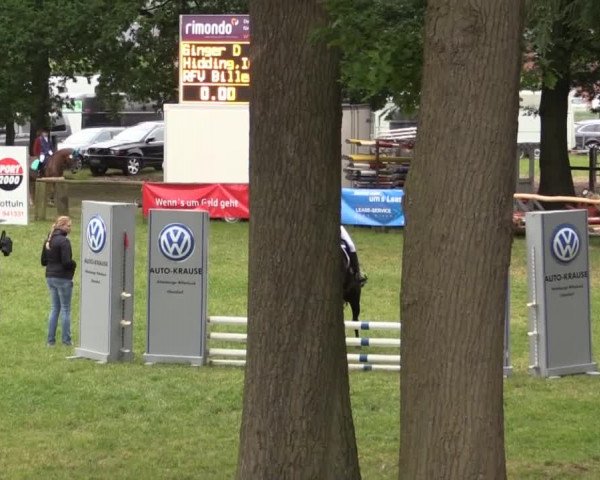 Ponyturnier Billerbeck 2015