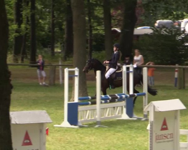 Ponyturnier Billerbeck 2015