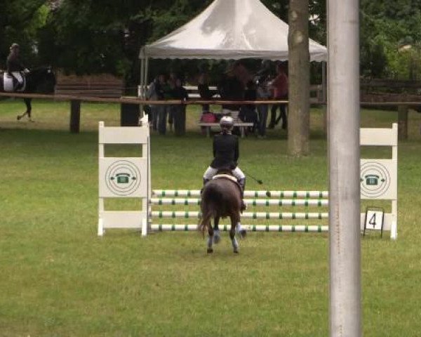 Ponyturnier Billerbeck 2015