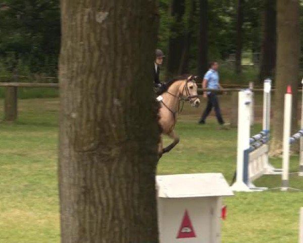 Ponyturnier Billerbeck 2015