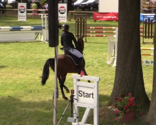 Ponyturnier Billerbeck 2015