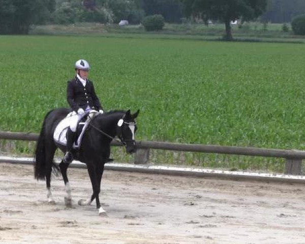 Ponyturnier Billerbeck 2015