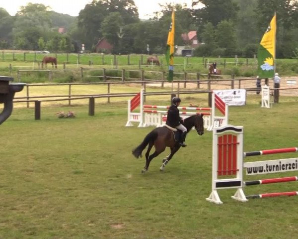 Ponyturnier Billerbeck 2015