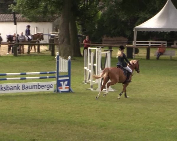 Ponyturnier Billerbeck 2015