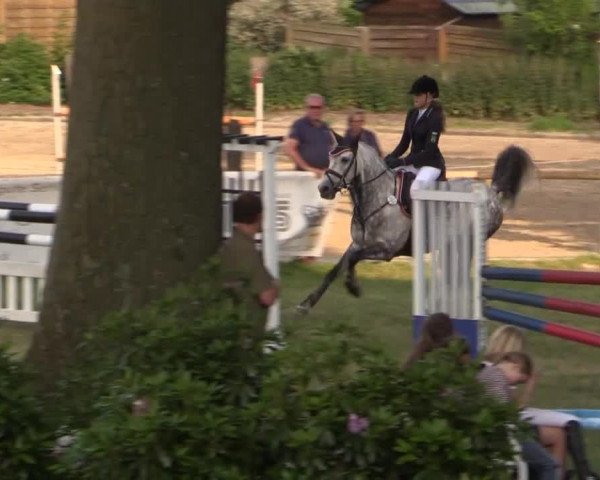 Ponyturnier Billerbeck 2015