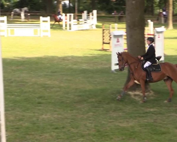 Ponyturnier Billerbeck 2015