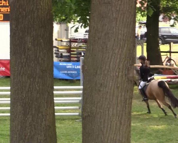 Ponyturnier Billerbeck 2015