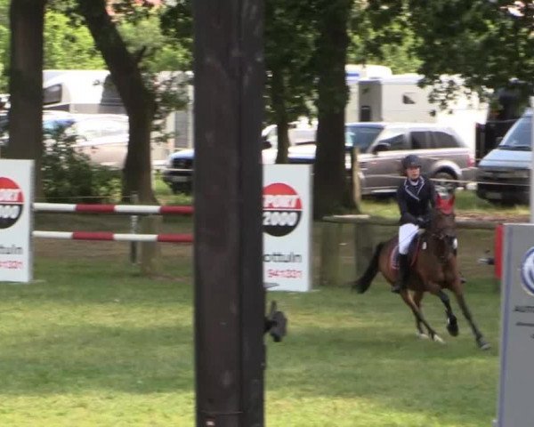 Ponyturnier Billerbeck 2015