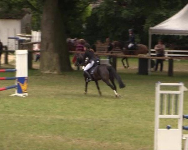 Ponyturnier Billerbeck 2015