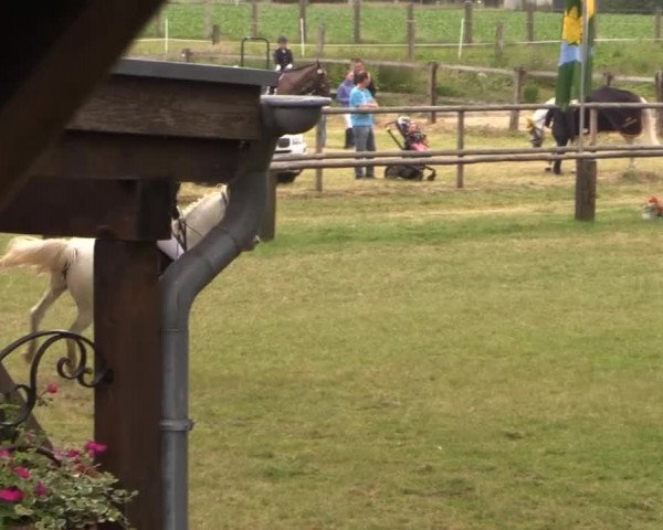 Ponyturnier Billerbeck 2015