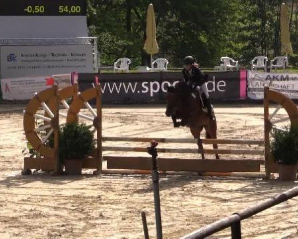 Düsseldorfer Reitertage 2015