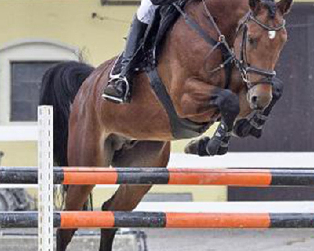 Ogier kryjący Cantos 23 (Holsztyński, 2010, od Catoki)