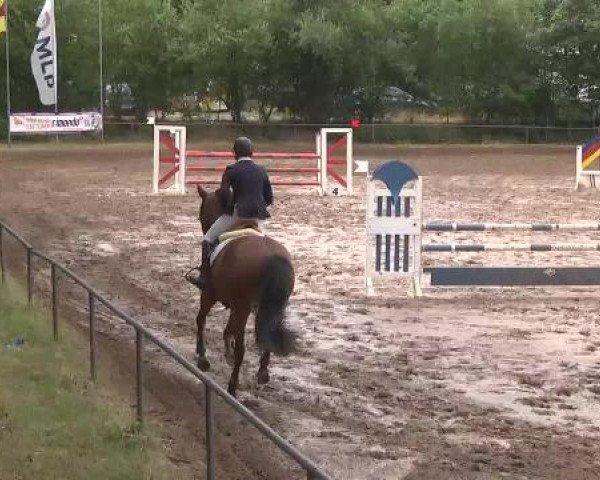 Reitturnier Wiesloch 2015